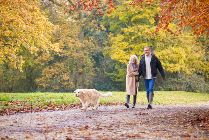 Couple walking with their dog, with autumn leaves on the ground